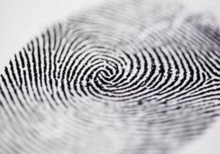 Identity - Sicelo Ngubane