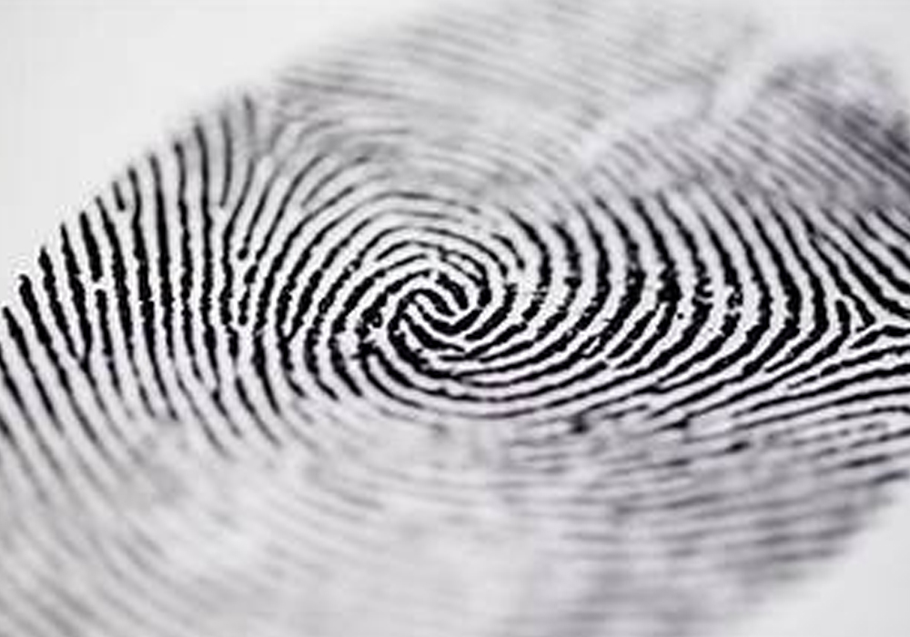 Identity - Sicelo Ngubane